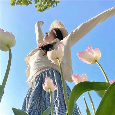 新唐老鸭俱乐部第一季